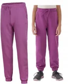 Dresy męskie - 4F OCIEPLANE DZIEWCZÄCE SPODNIE DRESOWE DRESY BAWEĹNA JOGGERY / rozm 134 - miniaturka - grafika 1