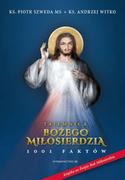 Religia i religioznawstwo - M Wydawnictwo Tajemnica Bożego Miłosierdzia - PIOTR SZWEDA - miniaturka - grafika 1