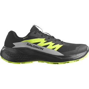 Męskie Buty do biegania w terenie SALOMON ALPHAGLIDE GTX L47802000 – Czarny - Buty sportowe męskie - miniaturka - grafika 1