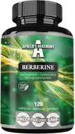 Suplementy naturalne - APOLLO'S HEGEMONY BERBERINE STANDARYZOWANY EKSTRAKT BERBERYNY 120 KAPSUŁEK - miniaturka - grafika 1