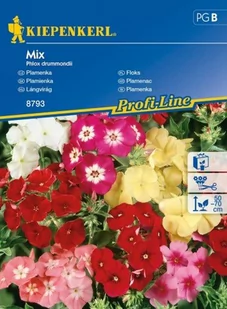 Kiepenkerl Floks Mix Phlox drummondii 102312 - Nasiona i cebule - miniaturka - grafika 1