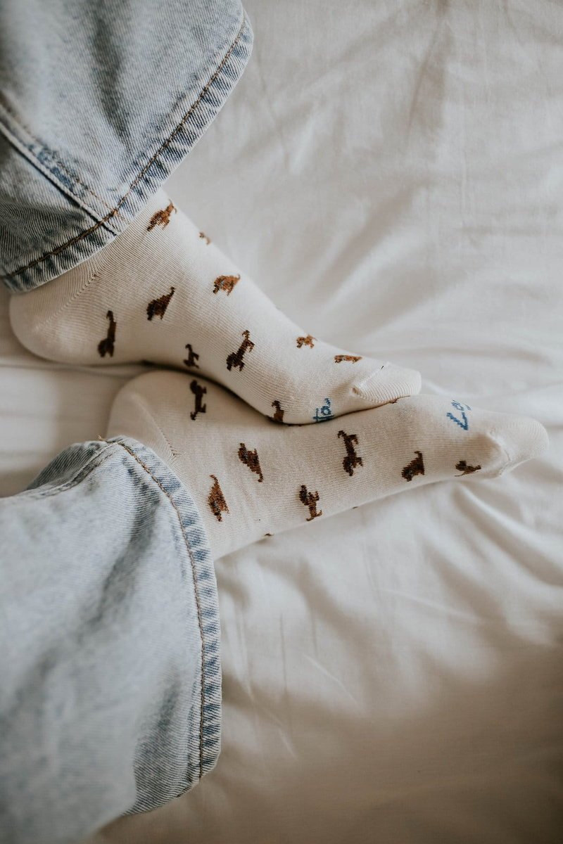 Skarpetki Pudelek – Kremowe