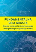 Biznes - Fundamentalna siła miasta Nowa - miniaturka - grafika 1