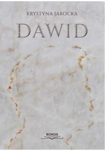 Dawid - Literatura obyczajowa - miniaturka - grafika 2