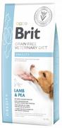 Sucha karma dla psów - Brit VET Brit Veterinary Diet Obesity Lamb&Pea Sucha Karma dla psa op 12kg - miniaturka - grafika 1