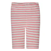 Legginsy - Dziewczęce legginsy, szary, rozmiar 62 - miniaturka - grafika 1