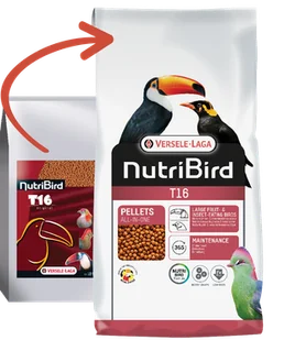 VERSELE-LAGA NutriBird T16 Original - granulat dla tukanów 10kg - Karma dla ptaków - miniaturka - grafika 1