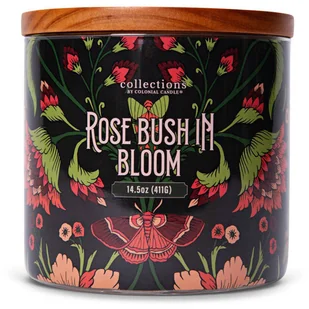 Świeca zapachowa sojowa 3 knoty Colonial Candle 411 g - Róża Rose Bush In Bloom - Świece - miniaturka - grafika 1