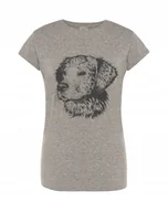 Koszulki i topy damskie - T-Shirt damski nadruk Golden Retriever Rozm.L - miniaturka - grafika 1
