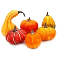 Dekoracje domu - Sztuczne dynie do kompozycji dekoracja jesienna ozdobne figurki zestaw 6 sztuk - miniaturka - grafika 1