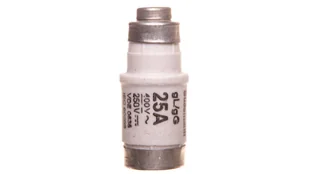 Eaton Wkładka bezpiecznikowa D02 25A gL/gG 400V E18 25NZ02 25NZ02 - Bezpieczniki elektryczne - miniaturka - grafika 1