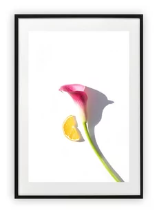 Plakat B1 70x100 cm Kwiaty Rośliny Zieleń Natura  WZORY - Plakaty - miniaturka - grafika 1