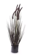 Sztuczne kwiaty - Roślina trawa pampasowa ozdobna dekoracyjna 65x20x20 132874 - miniaturka - grafika 1