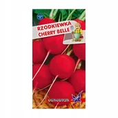Nasiona i cebule - Rzodkiewka Cherry Belle 10g / O / - miniaturka - grafika 1