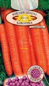 Nasiona i cebule - MARCHEW KAROTINA ok. 400 nasion OTOCZKOWANE - miniaturka - grafika 1