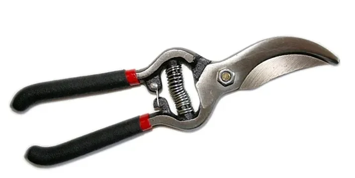 F0d51 Sekator Do Cięcia Kwiatów Gałęzi 8”