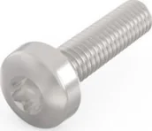 Śruby i nakrętki - SCHROFF Śruba krzyżakowa, Torx, stal niklowana, M2,5 x 14 mm - miniaturka - grafika 1