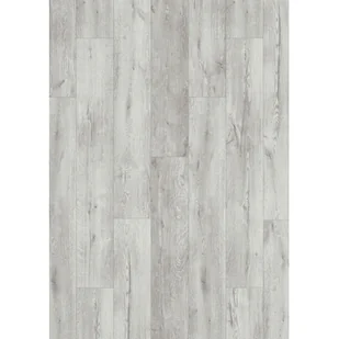 Panel podłogowy Dąb Wonderland AC5 8 mm - Panele podłogowe - miniaturka - grafika 1