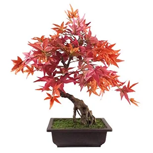 Leaf Sztuczne drzewo, czerwony klon bonsai, 50 cm - Sztuczne drzewka - miniaturka - grafika 1