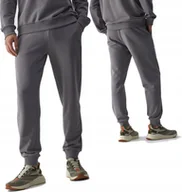 Dresy męskie - Męskie spodnie dresowe 4F joggery M0942 szary XXL - miniaturka - grafika 1