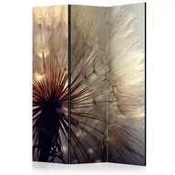 Parawany - Parawan 3-częściowy - Pocałunek dmuchawca [Room Dividers] (rozmiar 135x172) - miniaturka - grafika 1