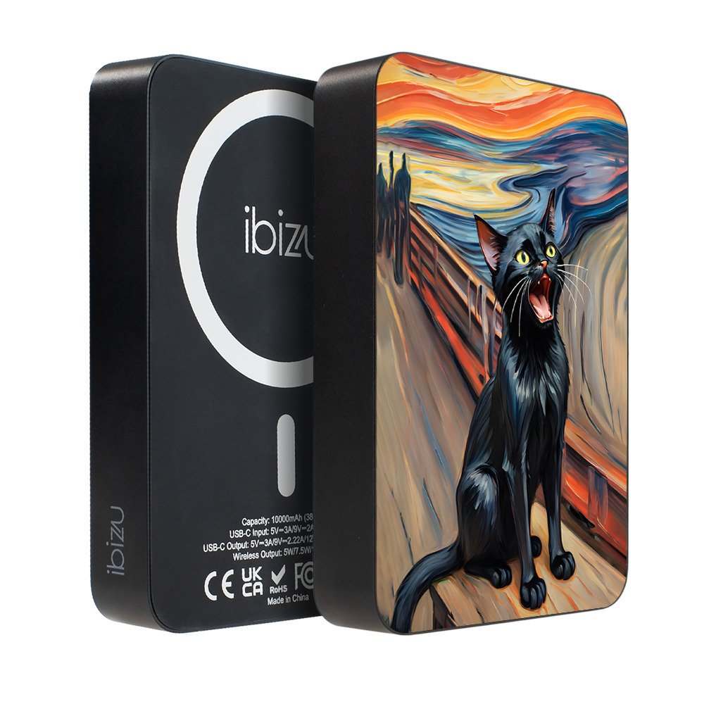 IBIZU MagPower 10 000 mAh krzyk kota