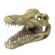Dekoracje do akwarium - Europet Bernina Czaszka krokodyla - miniaturka - grafika 1