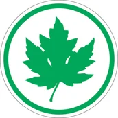 Akcesoria BHP - Naklejka Zielony listek, liść klonu, znak młodego kierowcy 11x11cm - miniaturka - grafika 1