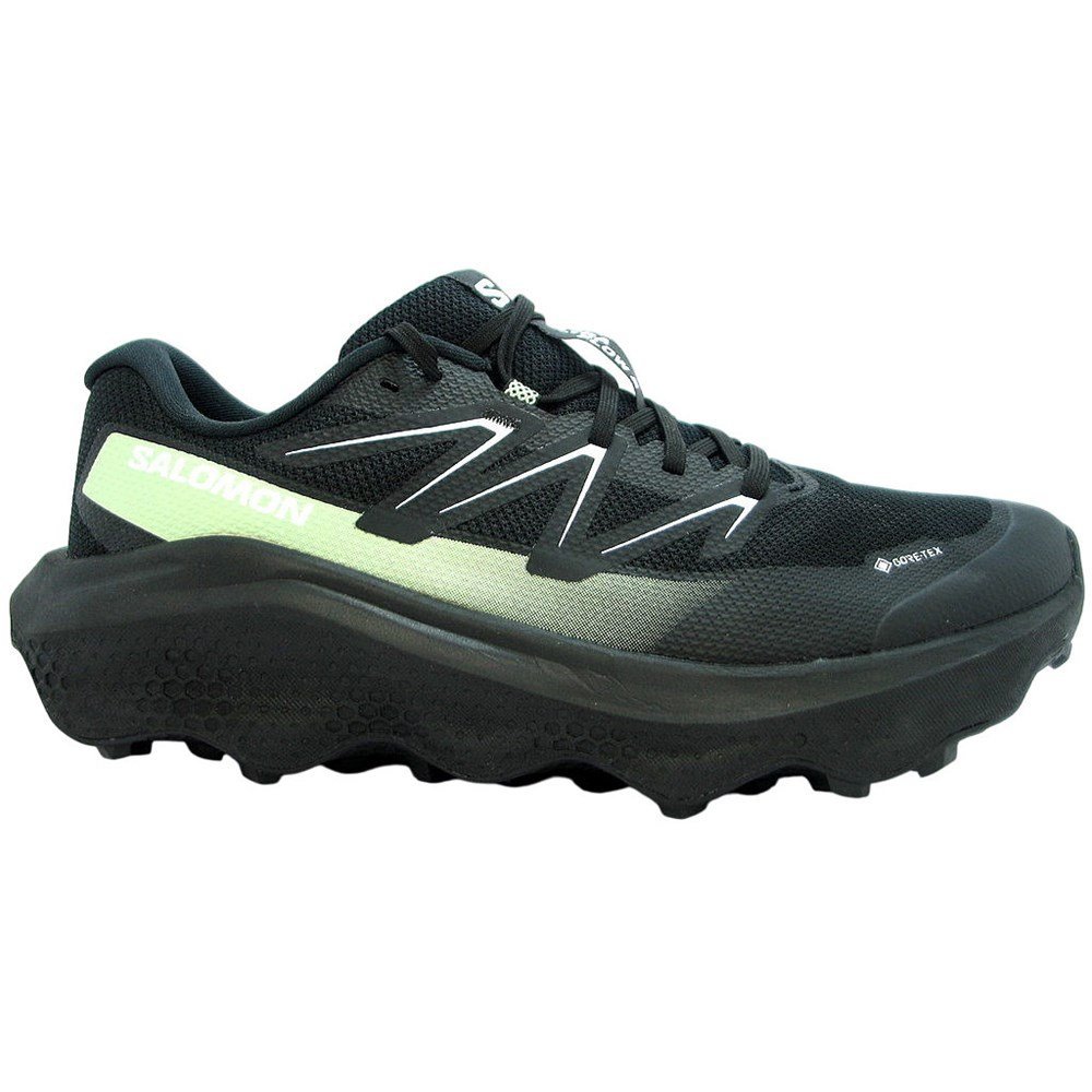 Buty Salomon Ultra Flow 2 Gtx 479814