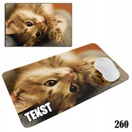 Podkładki pod mysz - PODKŁADKA POD MYSZKĘ MYSZ WZORY DO WYBORU - KOTEK KOT KOTKI 29x36cm - miniaturka - grafika 1