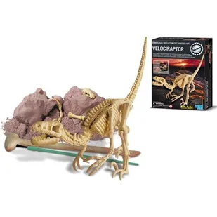 4M Kidzlabs – zestaw do kopania welociraptorów - Mały naukowiec - miniaturka - grafika 1