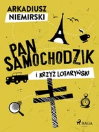 E-booki dla dzieci i młodzieży - Pan Samochodzik i krzyż lotaryński - miniaturka - grafika 1