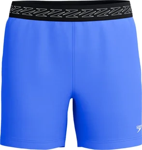 Męskie Szorty Hyperboom Band 16" Wsht Am rozmiar L - Kąpielówki męskie - miniaturka - grafika 1