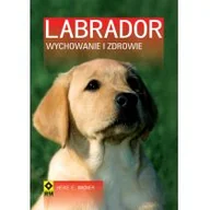 Poradniki hobbystyczne - LABRADOR Wychowanie i zdrowie Heike E Wagner - miniaturka - grafika 1