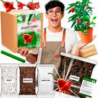 Nasiona i cebule - Papryka Okrasny Zvonek Zestaw do uprawy papryki XXL Nasiona Ozdobna - miniaturka - grafika 1