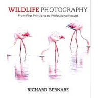 Albumy obcojęzyczne - Richard Bernabe Wildlife Photography - miniaturka - grafika 1