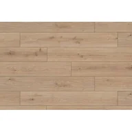 Panele podłogowe - Krono Original Panel podłogowy Dąb Dąb Native AC4 8 mm - miniaturka - grafika 1