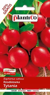 NASIONA Rzodkiewka Tytania 12g PLANTICO 406162 - Nasiona i cebule - miniaturka - grafika 1