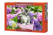 Puzzle - Castorland Puzzle 1500 Koty w koszyku CASTOR - - miniaturka - grafika 1