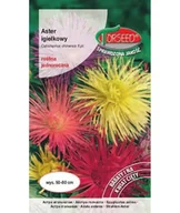 Nasiona i cebule - Nasiona Aster wysoki igiełkowy mieszanka 1g - Torseed - miniaturka - grafika 1