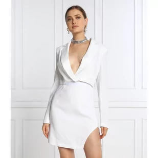 Pinko Sukienka ALEJANDRA - Sukienki - miniaturka - grafika 1