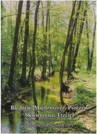 Książki o kulturze i sztuce - Bledzew, Międzyrzecz, Pszczew Skwierczyna, Trzciel - miniaturka - grafika 1