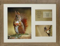 Ramki na zdjęcia - Postergaleria Ramka 3 zdjęcia, galeria, dąb lefaks - miniaturka - grafika 1