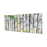 Tablice i flipcharty - Szkło bezpieczne panel + klej Brzozy liście 125x50 cm - miniaturka - grafika 1