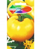 Nasiona i cebule - POMIDOR żółty JANTAR wczesny WYSOKI plenny NASIONA p. PL204/63/51/837/A - miniaturka - grafika 1