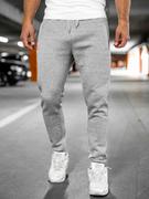 Spodnie sportowe męskie - Szare spodnie męskie joggery dresowe Denley XW06 - miniaturka - grafika 1