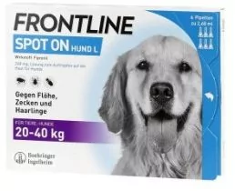 Frontline L dla psów 20-40 kg x 1 pipeta - Artykuły przeciw pasożytom - miniaturka - grafika 1