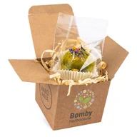 Herbata - Bomba herbaciana żółta - miniaturka - grafika 1