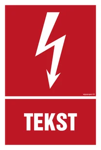 ZNAK NA ZAMÓWIENIE WZÓR B-003, TS - PŁYTA TD FOTOLUMINESCENCYJNA; (100X148MM) - Systemy ekspozycyjne i znaki informacyjne - miniaturka - grafika 1