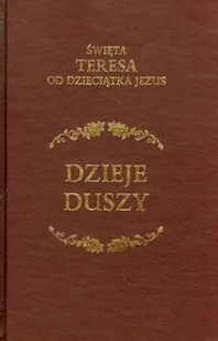 Dzieje duszy - Religia i religioznawstwo - miniaturka - grafika 1